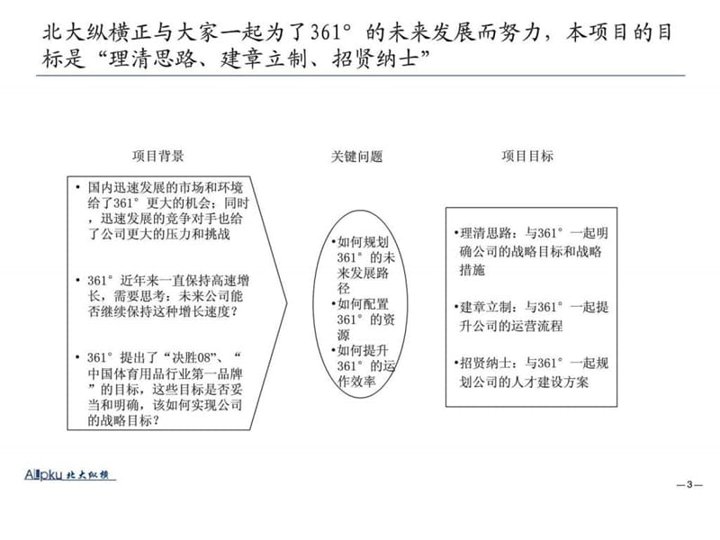 2019年°战略规划项目战略诊断报告PPT.ppt_第3页