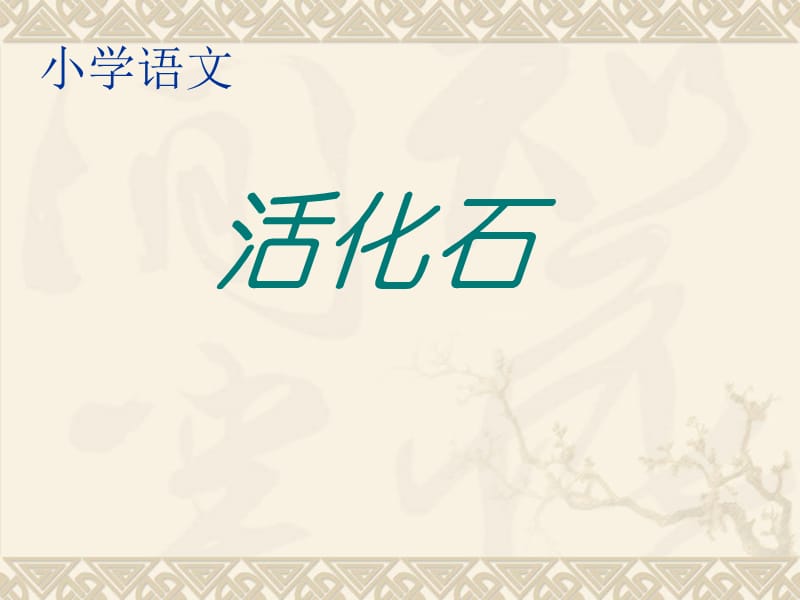 2019年《活化石》PPT课件.ppt_第1页