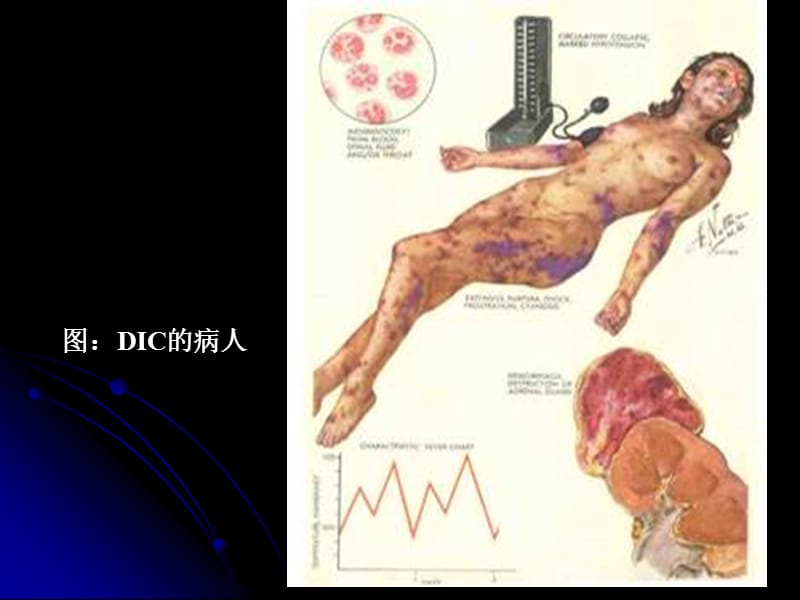 病理生理学第一二章绪论与疾病概论PPT课件.ppt_第2页