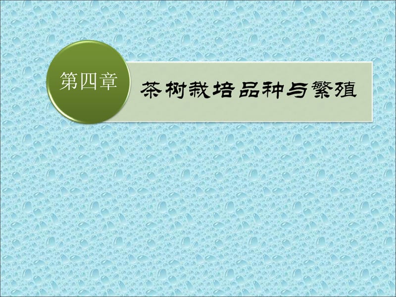 茶树栽培品种与繁殖.ppt_第1页