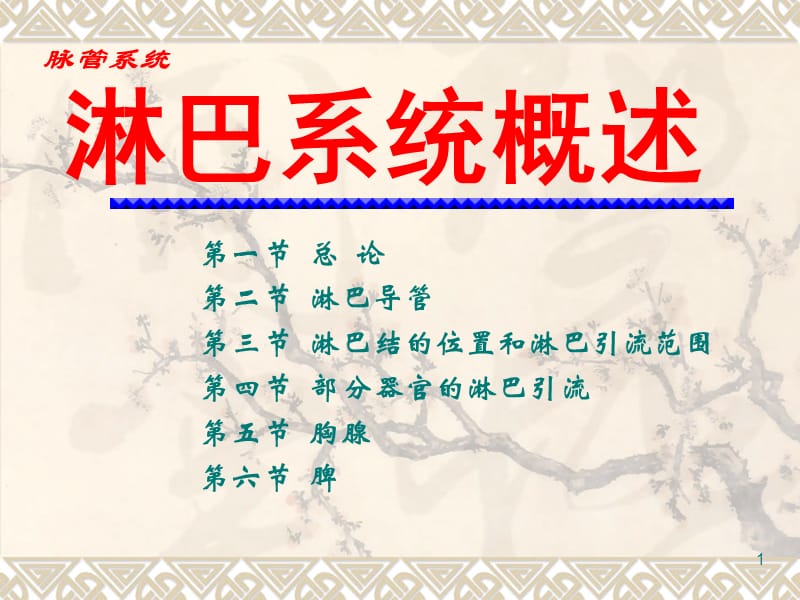 2019年《淋巴系统概述》ppt课件.ppt_第1页