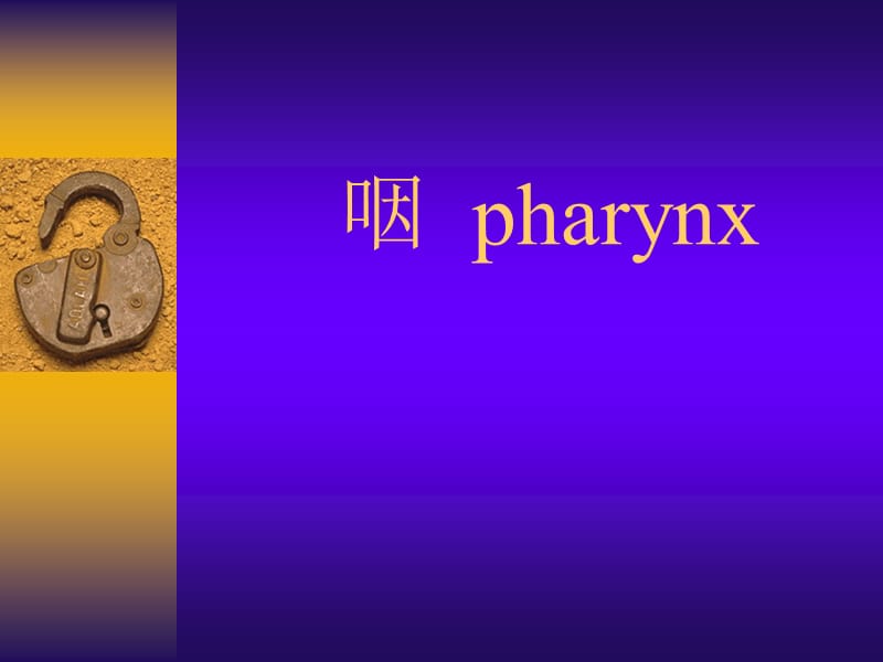 2019年《咽》PPT课件.ppt_第1页