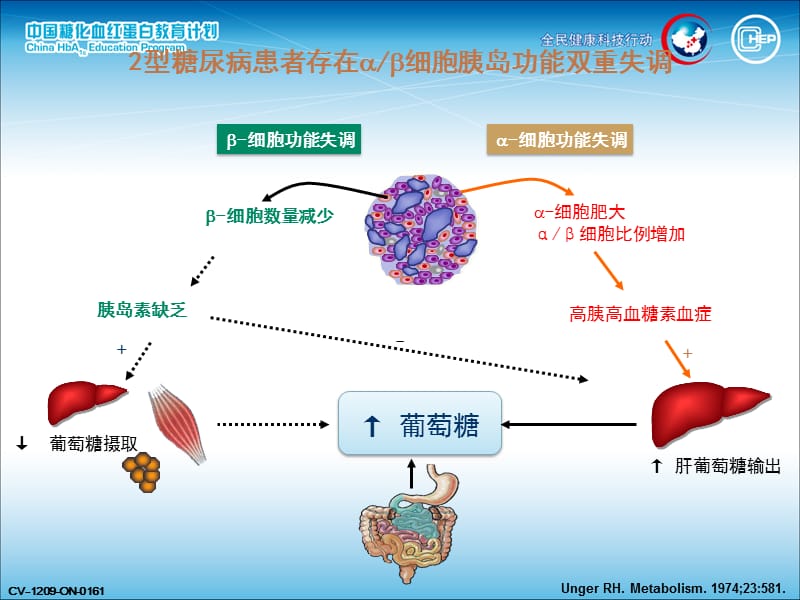 2019年hba1c与糖尿病管理ppt课件.ppt_第3页