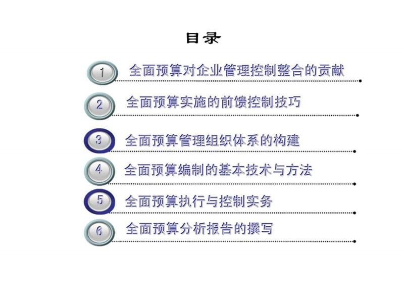 新全面预算管理实务与操作技巧.ppt_第2页