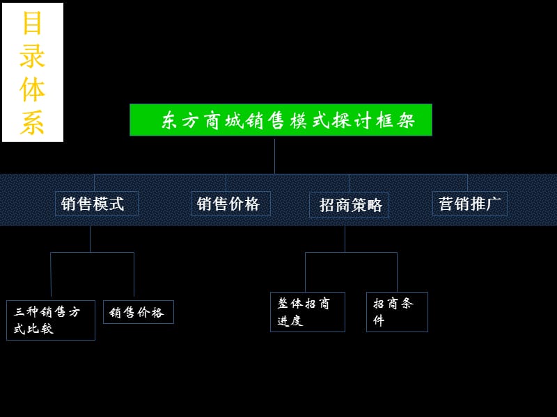 精品资料-2009年深圳东方商城裙楼商业策划方案.ppt_第3页