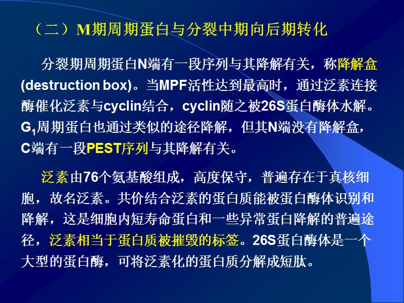 分裂期周期蛋白N端有一段序列与其降解有关称降解盒.ppt_第1页