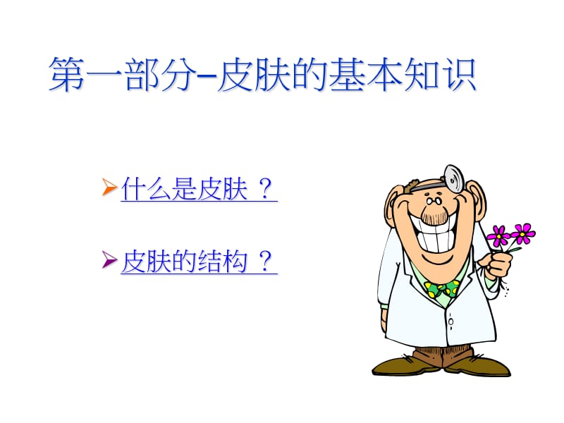 美容护肤基础知识PPT.ppt_第3页