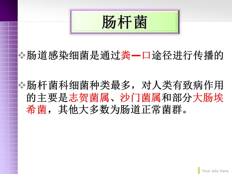 肠道感染细菌PPT课件.ppt_第2页