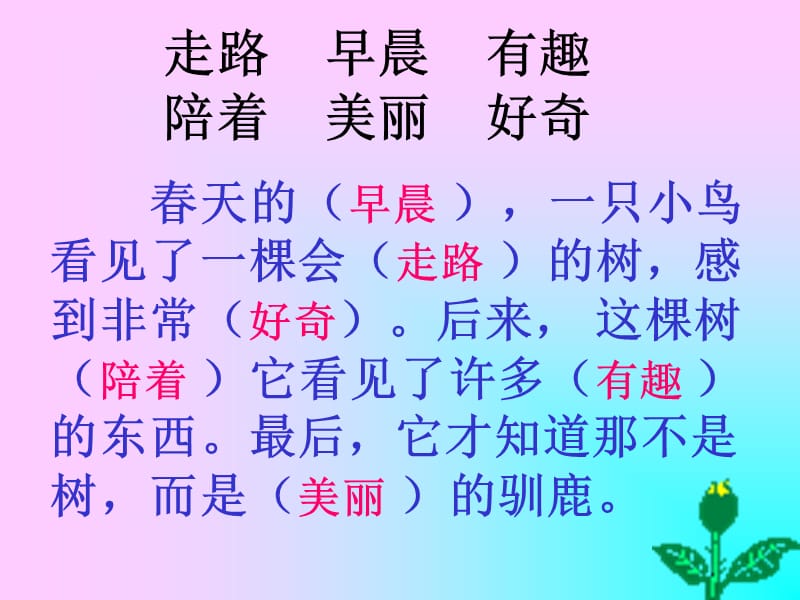 2019年《会走路的树》PPT课件.ppt_第3页