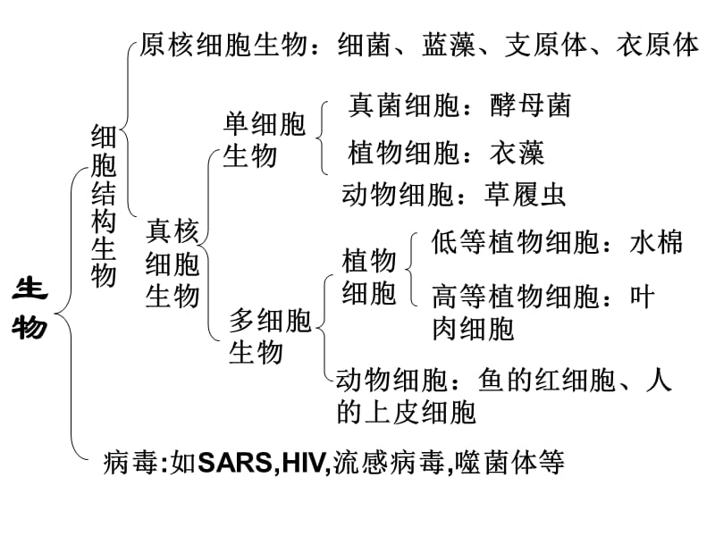 新人教高中生物必修一复习课件.ppt_第3页