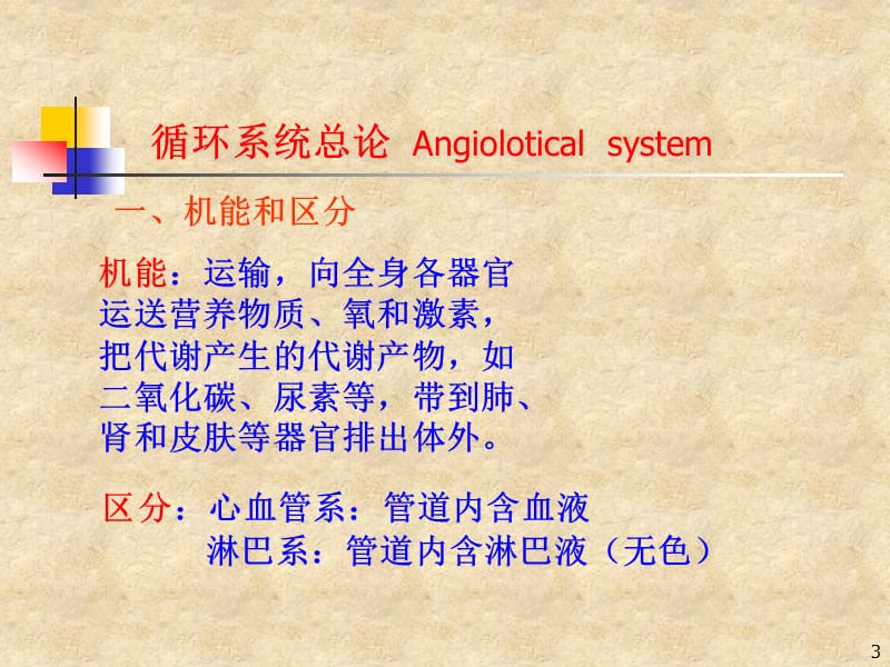 循环系统 PP课件.ppt_第3页