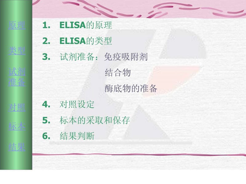 2019年《ELISA知识讲座》PPT课件.ppt_第2页