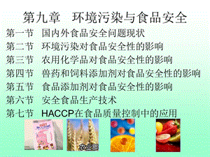 环境污染与食品安全.ppt