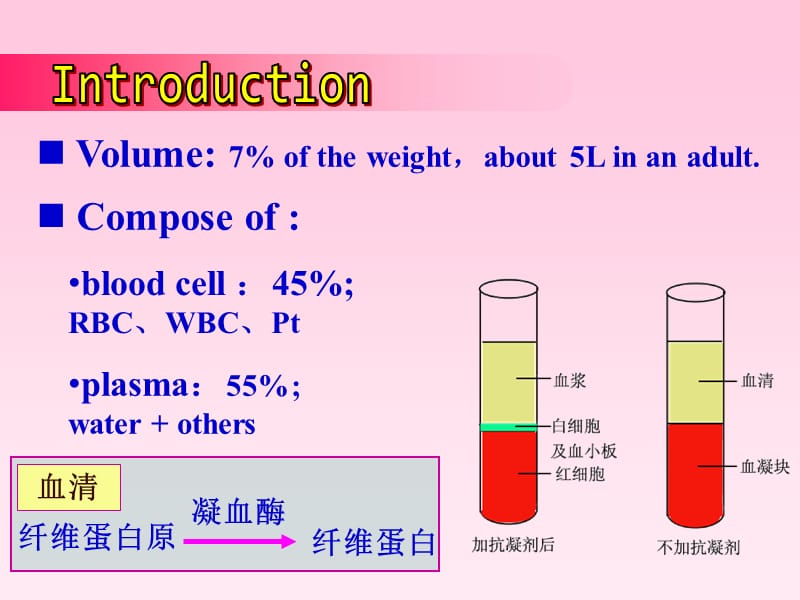 血液和血细胞发生PPT课件.ppt_第3页