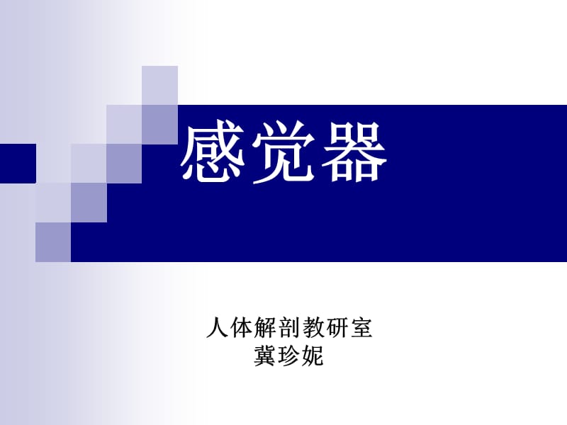 2019年《解剖之感觉器》ppt课件.ppt_第1页