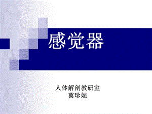 2019年《解剖之感觉器》ppt课件.ppt