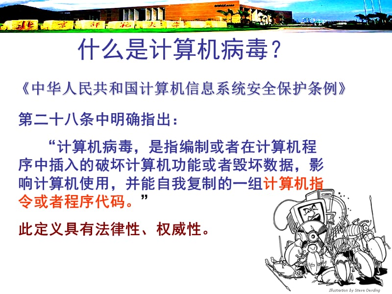 计算机病毒与防治.ppt_第3页