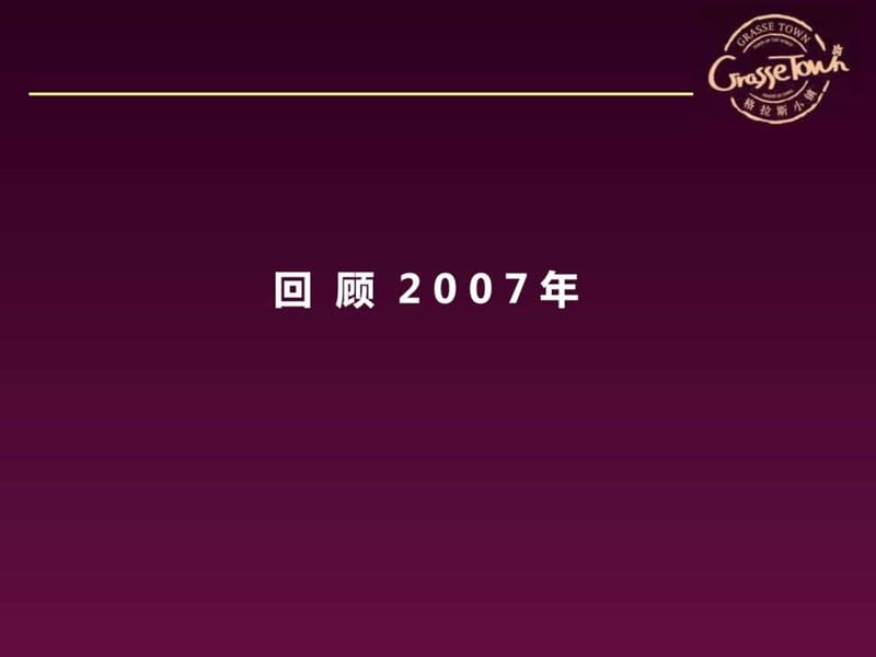 2019年伟业顾问格拉斯项目年度工作汇报.ppt_第3页