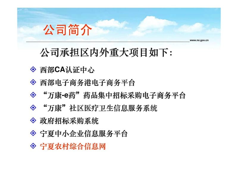 2019年宁夏农村信息化建设情况介绍_社会学_人文社科_专业资料.ppt_第3页