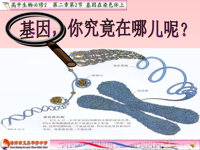 海南省文昌华侨中学生物组陈燕平课件.ppt_第2页