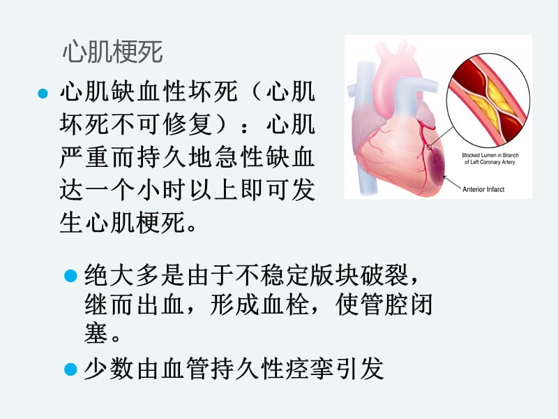 2019年《心脑血管类》ppt课件.ppt_第2页