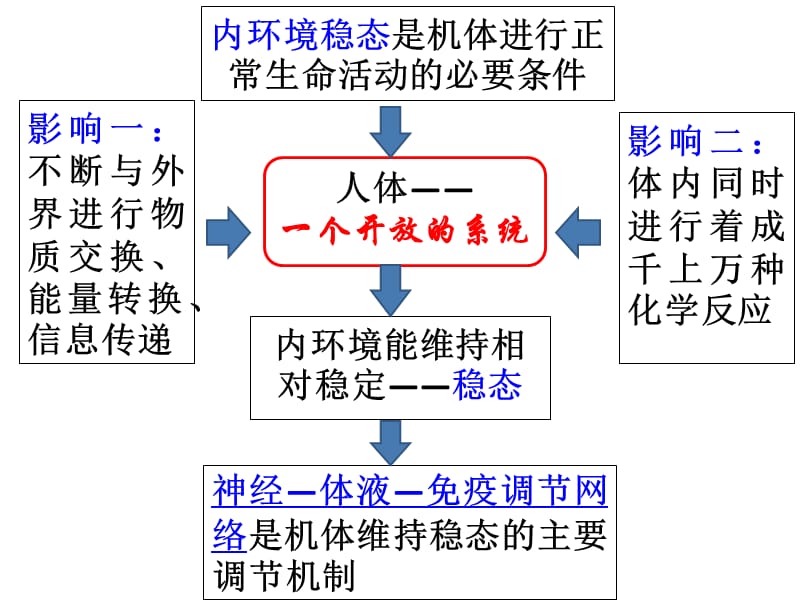 2019年《神经调节》ppt课件.ppt_第1页