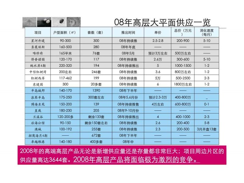 2019年中原地产深圳卓越维港高层营销策略.ppt_第3页