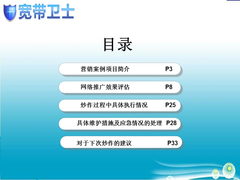 中国电信网络整合营销案例2010-01-18.ppt_第2页