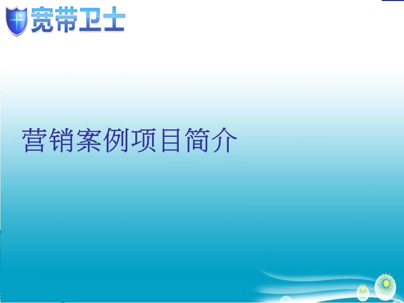 中国电信网络整合营销案例2010-01-18.ppt_第3页