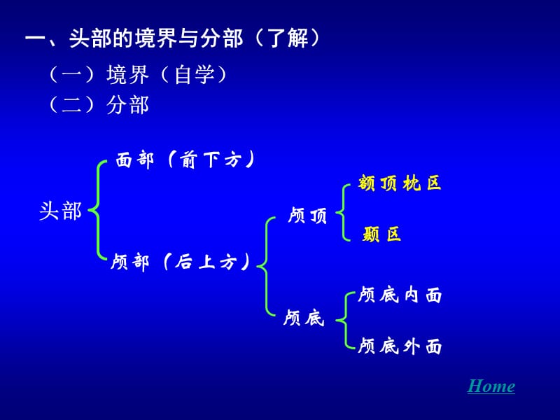 2019年《头部》PPT课件.ppt_第3页