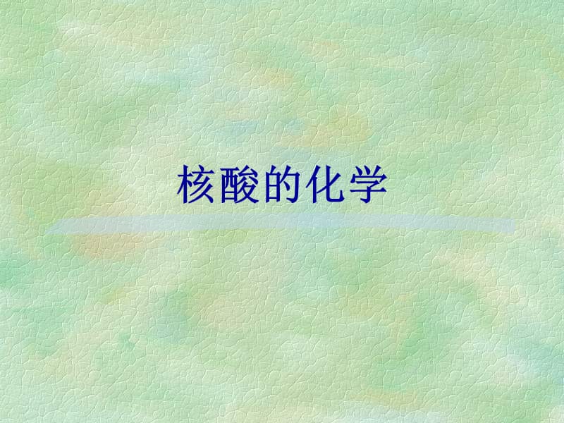 核酸的化学.ppt_第1页