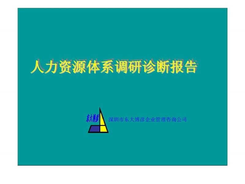 2019年东大博彦：人力资源体系调研诊断报告.ppt_第1页