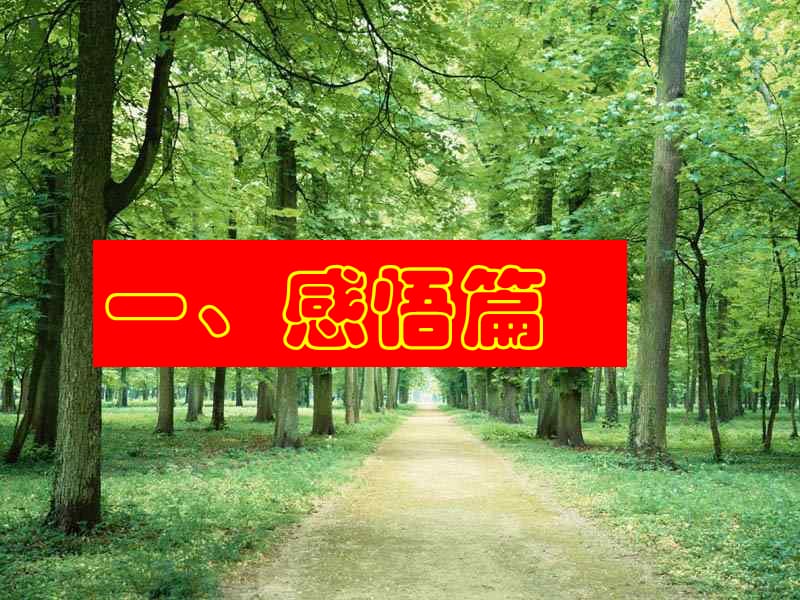 教师核心价值观.ppt_第3页