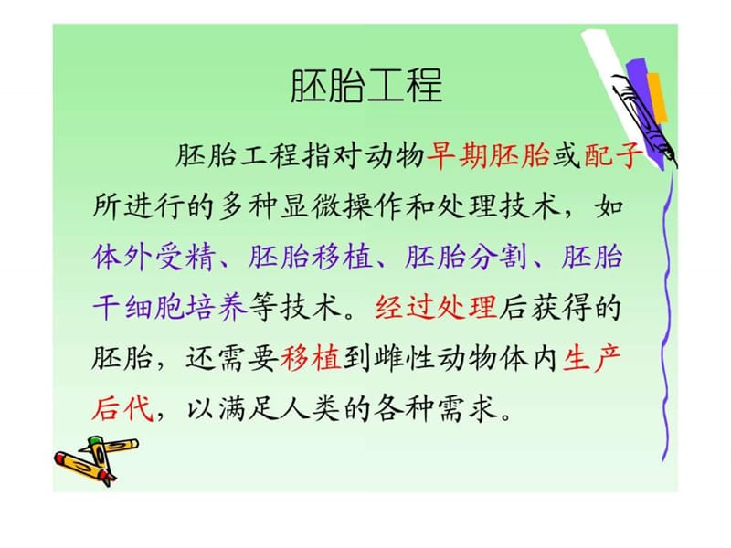 精子与卵子的发生.ppt_第2页