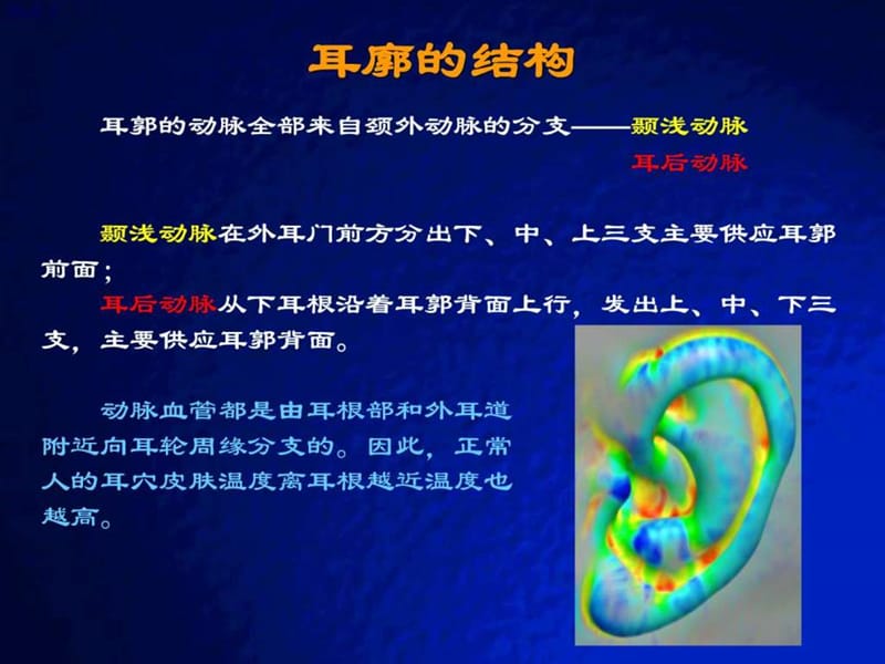 耳穴快速记忆法、定位法及各种操作方法.ppt.ppt_第3页