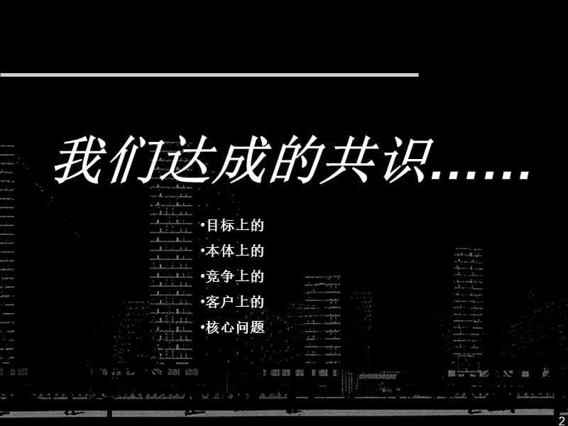 精品文案-2008年合肥融科九重锦项目营销执行报告.ppt_第2页