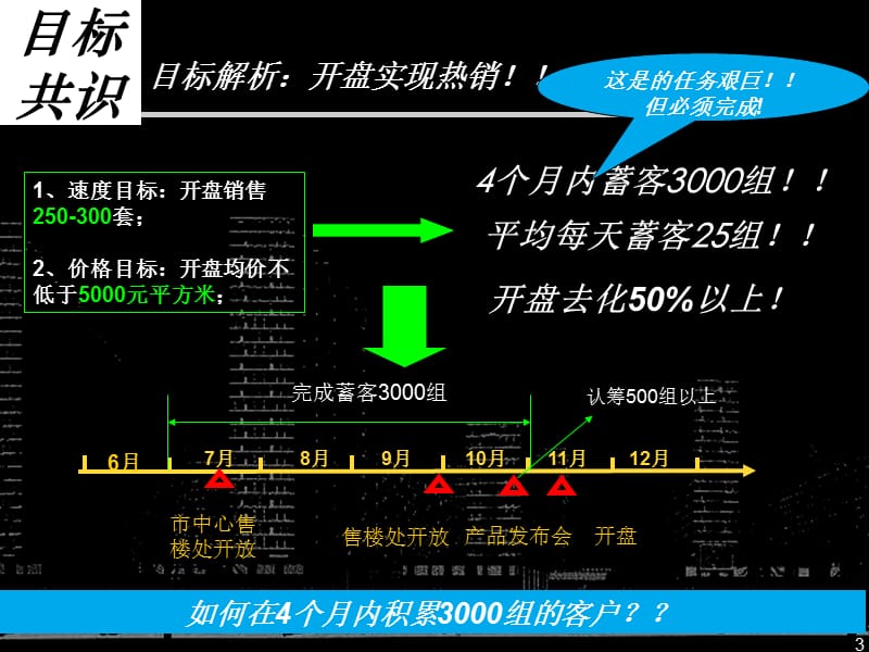 精品文案-2008年合肥融科九重锦项目营销执行报告.ppt_第3页