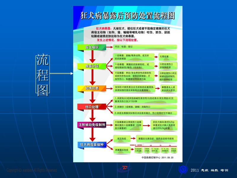 狂犬病暴露处理流程.ppt_第2页