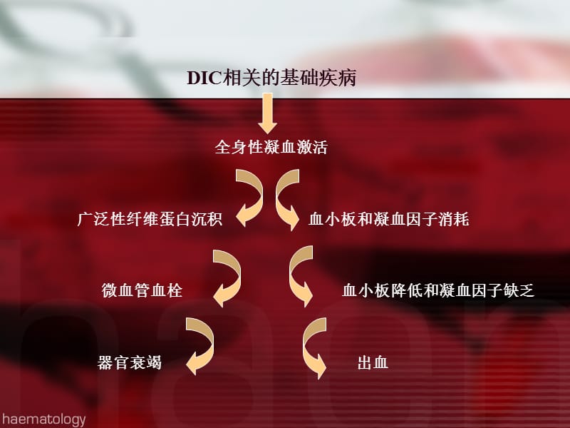 英国DIC诊疗指南解读 PPT.ppt_第3页