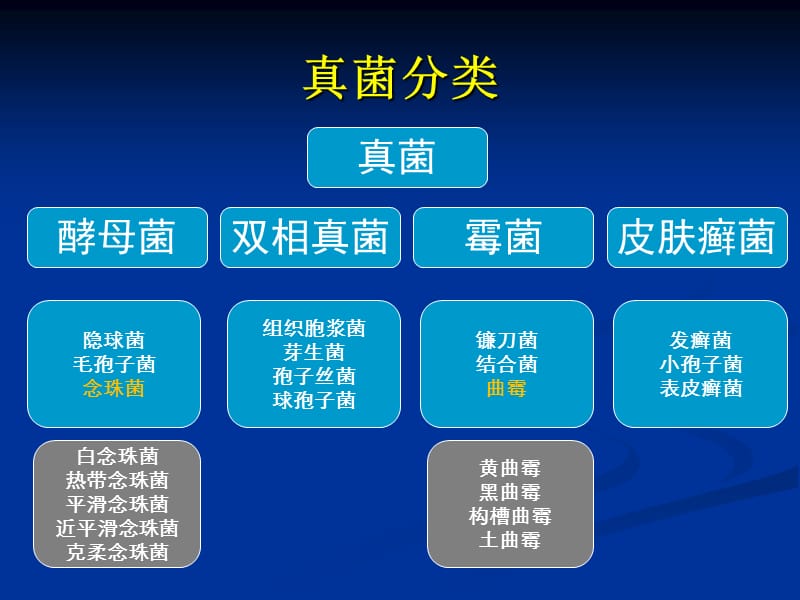 肺部真菌病诊断和治疗ppt课件.ppt_第3页