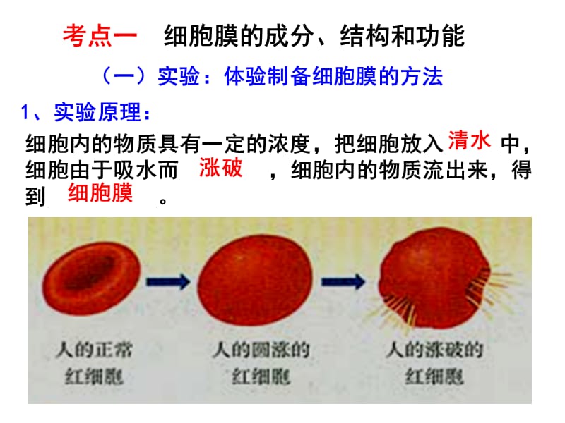 细胞的基本结构高中生物课件.ppt_第2页