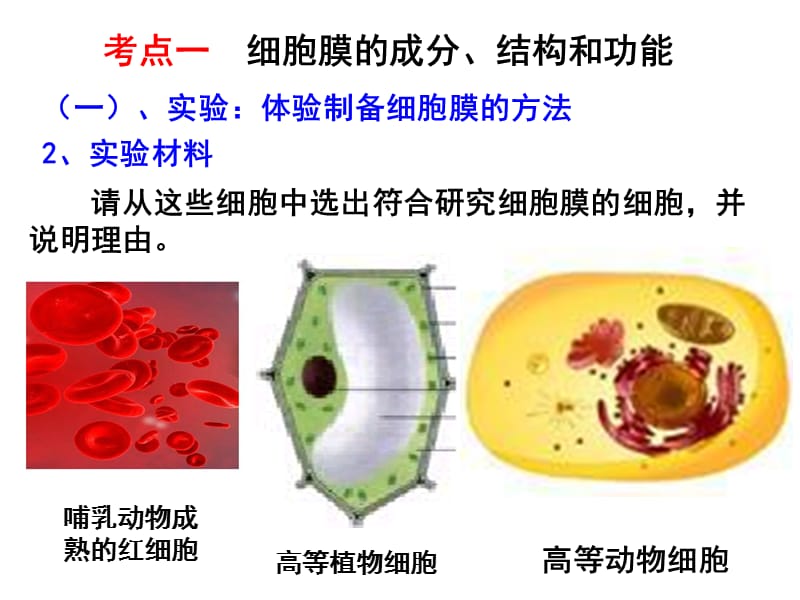 细胞的基本结构高中生物课件.ppt_第3页