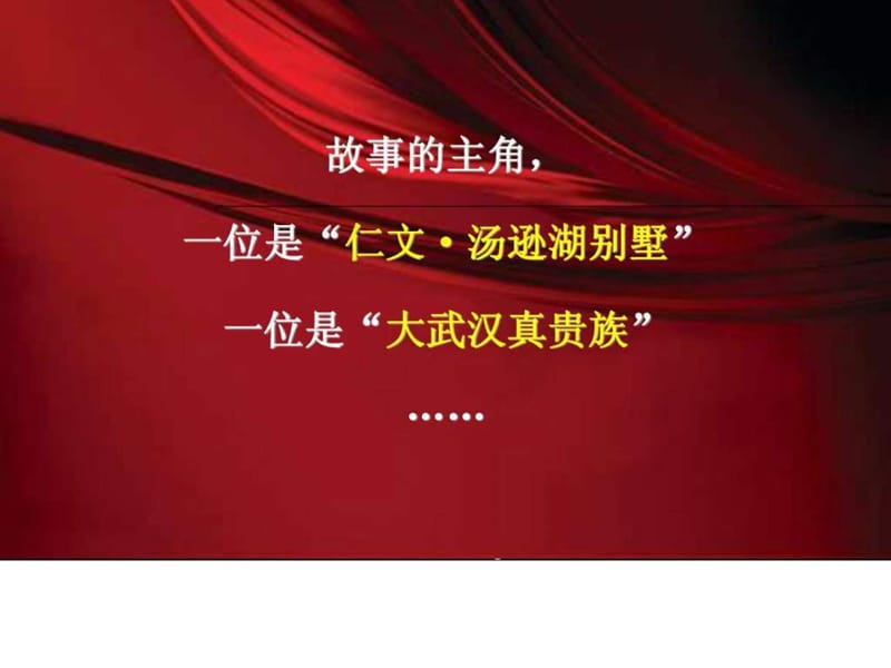 2019年伟业顾问_年武汉豪宅汤逊湖别墅项.ppt_第2页