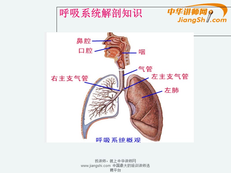 何飞：药店春季常见病的营销技巧-.ppt_第3页