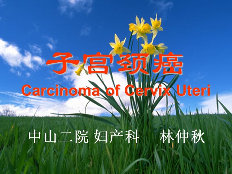 子宫颈癌CarcinomaofCervixUteri课件.ppt_第1页