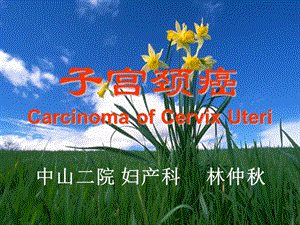 子宫颈癌CarcinomaofCervixUteri课件.ppt