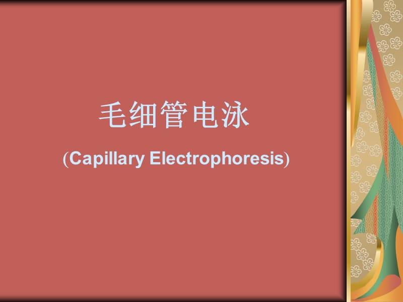 毛细管电泳.ppt_第1页