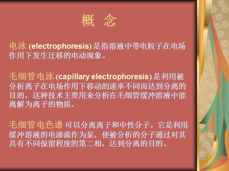 毛细管电泳.ppt_第2页