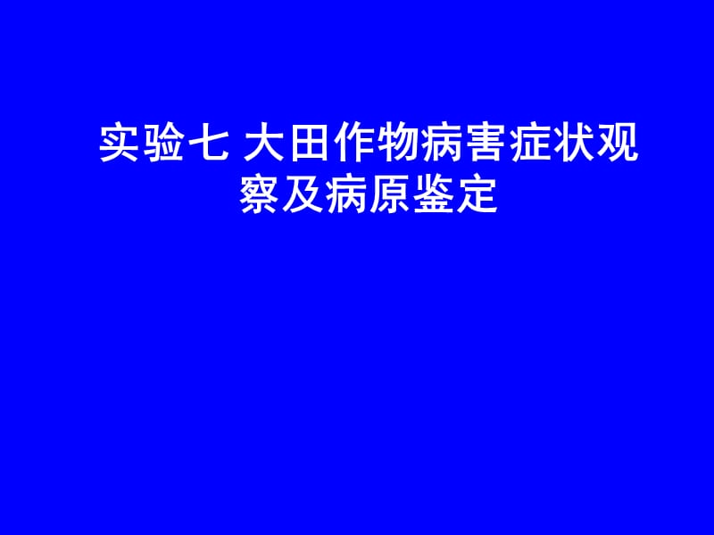 2019大田作物病害症状观察及病原鉴定.ppt_第1页