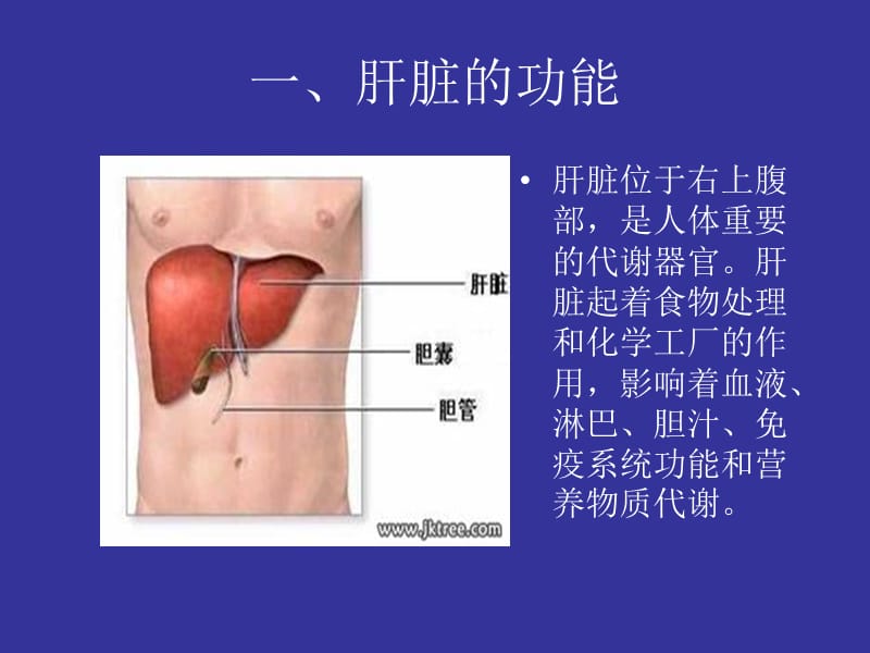 2019丙肝防治知识讲座.ppt_第3页